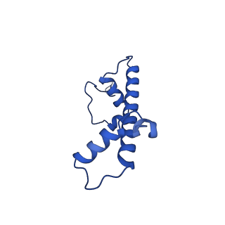 23026_7ktq_G_v1-2
Nucleosome from a dimeric PRC2 bound to a nucleosome