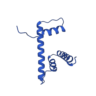 23026_7ktq_H_v1-1
Nucleosome from a dimeric PRC2 bound to a nucleosome