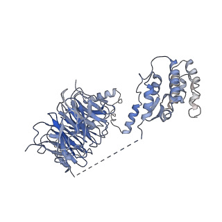 23027_7ktr_B_v1-3
Cryo-EM structure of the human SAGA coactivator complex (TRRAP, core)