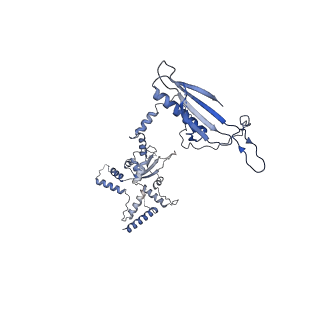 23027_7ktr_C_v1-3
Cryo-EM structure of the human SAGA coactivator complex (TRRAP, core)