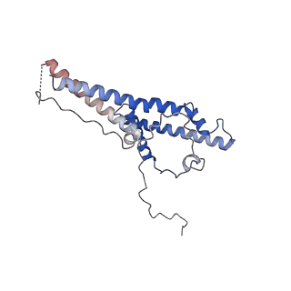 23027_7ktr_D_v1-3
Cryo-EM structure of the human SAGA coactivator complex (TRRAP, core)