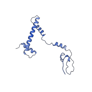 23027_7ktr_E_v1-3
Cryo-EM structure of the human SAGA coactivator complex (TRRAP, core)