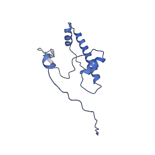23027_7ktr_F_v1-3
Cryo-EM structure of the human SAGA coactivator complex (TRRAP, core)