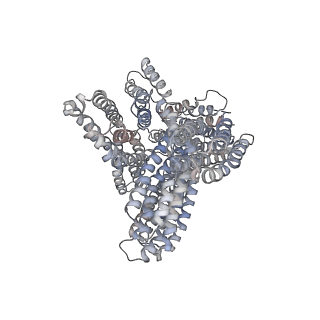 23029_7ktt_A_v1-0
Cryogenic electron microscopy model of full-length human metavinculin