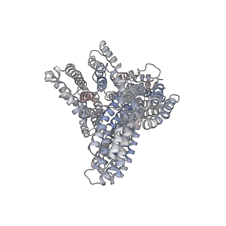 23029_7ktt_A_v1-1
Cryogenic electron microscopy model of full-length human metavinculin