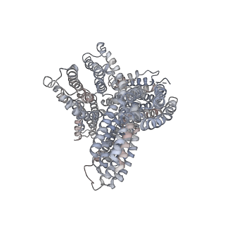 23030_7ktu_A_v1-0
Cryogenic electron microscopy model of full-length human metavinculin H1'-parallel conformation 1