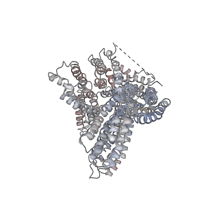 23031_7ktv_A_v1-0
Cryogenic electron microscopy model of full-length human metavinculin H1' kinked conformation