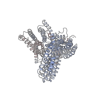 23032_7ktw_A_v1-0
Cryogenic electron microscopy model of full-length human metavinculin H1'-parallel conformation 2