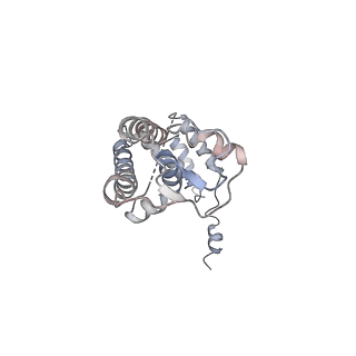 23033_7ktx_C_v1-1
Cryo-EM structure of Saccharomyces cerevisiae ER membrane protein complex bound to a Fab in DDM detergent