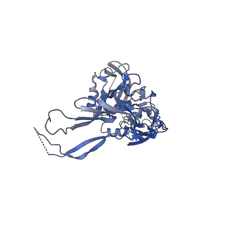 0776_6ku9_B_v1-2
Structure of the African swine fever virus major capsid protein p72