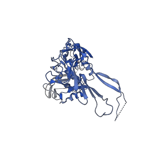 0776_6ku9_C_v1-2
Structure of the African swine fever virus major capsid protein p72