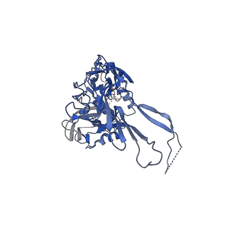 0776_6ku9_C_v1-3
Structure of the African swine fever virus major capsid protein p72