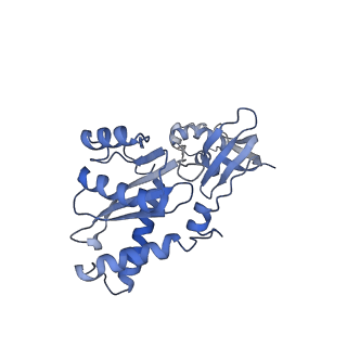 23035_7ku7_A_v1-1
Cryo-EM structure of Rous sarcoma virus cleaved synaptic complex (CSC) with HIV-1 integrase strand transfer inhibitor MK-2048. Cluster identified by 3-dimensional variability analysis in cryoSPARC.