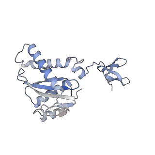 23035_7ku7_B_v1-2
Cryo-EM structure of Rous sarcoma virus cleaved synaptic complex (CSC) with HIV-1 integrase strand transfer inhibitor MK-2048. Cluster identified by 3-dimensional variability analysis in cryoSPARC.