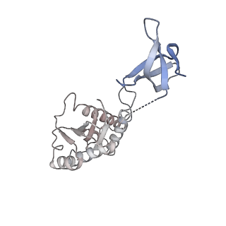 23035_7ku7_C_v1-1
Cryo-EM structure of Rous sarcoma virus cleaved synaptic complex (CSC) with HIV-1 integrase strand transfer inhibitor MK-2048. Cluster identified by 3-dimensional variability analysis in cryoSPARC.