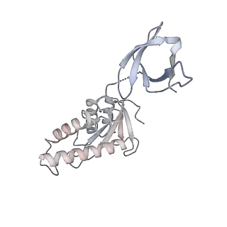 23035_7ku7_D_v1-1
Cryo-EM structure of Rous sarcoma virus cleaved synaptic complex (CSC) with HIV-1 integrase strand transfer inhibitor MK-2048. Cluster identified by 3-dimensional variability analysis in cryoSPARC.
