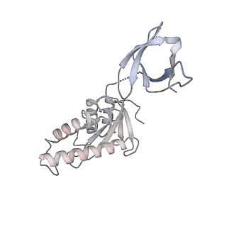 23035_7ku7_D_v1-2
Cryo-EM structure of Rous sarcoma virus cleaved synaptic complex (CSC) with HIV-1 integrase strand transfer inhibitor MK-2048. Cluster identified by 3-dimensional variability analysis in cryoSPARC.