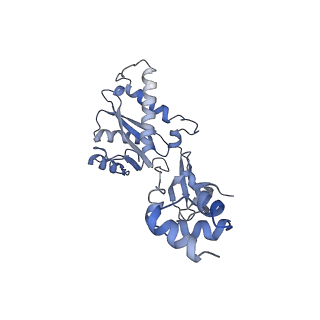 23035_7ku7_E_v1-1
Cryo-EM structure of Rous sarcoma virus cleaved synaptic complex (CSC) with HIV-1 integrase strand transfer inhibitor MK-2048. Cluster identified by 3-dimensional variability analysis in cryoSPARC.