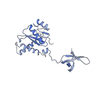 23035_7ku7_F_v1-1
Cryo-EM structure of Rous sarcoma virus cleaved synaptic complex (CSC) with HIV-1 integrase strand transfer inhibitor MK-2048. Cluster identified by 3-dimensional variability analysis in cryoSPARC.
