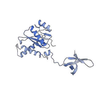 23035_7ku7_F_v1-2
Cryo-EM structure of Rous sarcoma virus cleaved synaptic complex (CSC) with HIV-1 integrase strand transfer inhibitor MK-2048. Cluster identified by 3-dimensional variability analysis in cryoSPARC.