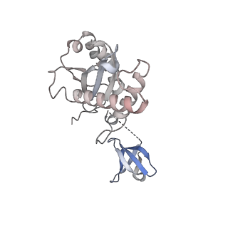 23035_7ku7_G_v1-1
Cryo-EM structure of Rous sarcoma virus cleaved synaptic complex (CSC) with HIV-1 integrase strand transfer inhibitor MK-2048. Cluster identified by 3-dimensional variability analysis in cryoSPARC.