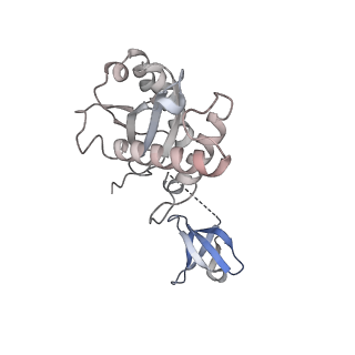 23035_7ku7_G_v1-2
Cryo-EM structure of Rous sarcoma virus cleaved synaptic complex (CSC) with HIV-1 integrase strand transfer inhibitor MK-2048. Cluster identified by 3-dimensional variability analysis in cryoSPARC.