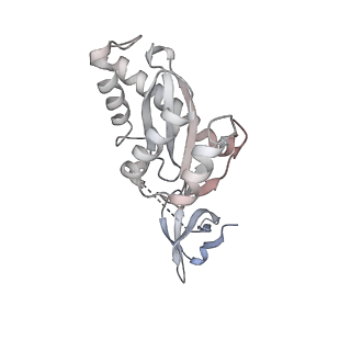 23035_7ku7_H_v1-1
Cryo-EM structure of Rous sarcoma virus cleaved synaptic complex (CSC) with HIV-1 integrase strand transfer inhibitor MK-2048. Cluster identified by 3-dimensional variability analysis in cryoSPARC.