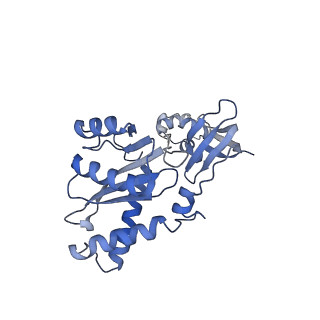 23035_7kui_A_v1-1
Cryo-EM structure of Rous sarcoma virus cleaved synaptic complex (CSC) with HIV-1 integrase strand transfer inhibitor MK-2048. CIC region of a cluster identified by 3-dimensional variability analysis in cryoSPARC.