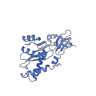 23035_7kui_A_v1-2
Cryo-EM structure of Rous sarcoma virus cleaved synaptic complex (CSC) with HIV-1 integrase strand transfer inhibitor MK-2048. CIC region of a cluster identified by 3-dimensional variability analysis in cryoSPARC.