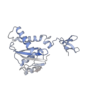 23035_7kui_B_v1-2
Cryo-EM structure of Rous sarcoma virus cleaved synaptic complex (CSC) with HIV-1 integrase strand transfer inhibitor MK-2048. CIC region of a cluster identified by 3-dimensional variability analysis in cryoSPARC.