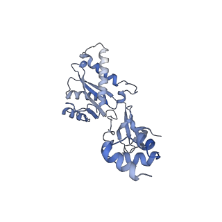 23035_7kui_E_v1-1
Cryo-EM structure of Rous sarcoma virus cleaved synaptic complex (CSC) with HIV-1 integrase strand transfer inhibitor MK-2048. CIC region of a cluster identified by 3-dimensional variability analysis in cryoSPARC.