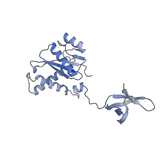 23035_7kui_F_v1-1
Cryo-EM structure of Rous sarcoma virus cleaved synaptic complex (CSC) with HIV-1 integrase strand transfer inhibitor MK-2048. CIC region of a cluster identified by 3-dimensional variability analysis in cryoSPARC.