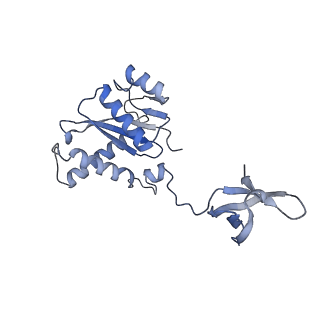 23035_7kui_F_v1-2
Cryo-EM structure of Rous sarcoma virus cleaved synaptic complex (CSC) with HIV-1 integrase strand transfer inhibitor MK-2048. CIC region of a cluster identified by 3-dimensional variability analysis in cryoSPARC.