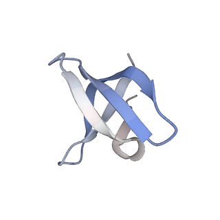 23035_7kui_G_v1-2
Cryo-EM structure of Rous sarcoma virus cleaved synaptic complex (CSC) with HIV-1 integrase strand transfer inhibitor MK-2048. CIC region of a cluster identified by 3-dimensional variability analysis in cryoSPARC.