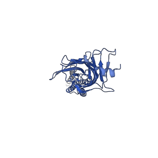 23041_7kuy_A_v1-0
Cyro-EM structure of human Glycine Receptor alpha2-beta heteromer, strychnine bound state