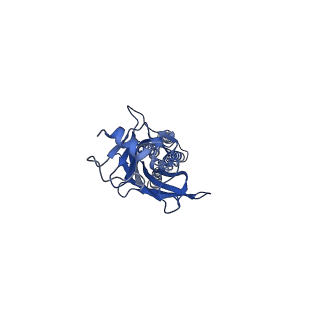 23041_7kuy_C_v1-0
Cyro-EM structure of human Glycine Receptor alpha2-beta heteromer, strychnine bound state
