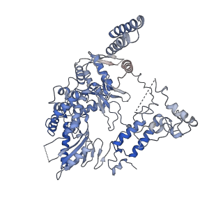 9578_6kuk_B_v1-3
Structure of influenza D virus polymerase bound to vRNA promoter in mode A conformation (class A1)