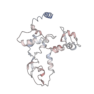 9578_6kuk_C_v1-2
Structure of influenza D virus polymerase bound to vRNA promoter in mode A conformation (class A1)