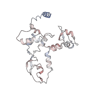 9578_6kuk_C_v1-3
Structure of influenza D virus polymerase bound to vRNA promoter in mode A conformation (class A1)