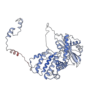 9579_6kup_A_v1-3
Structure of influenza D virus polymerase bound to vRNA promoter in Mode A conformation(Class A2)