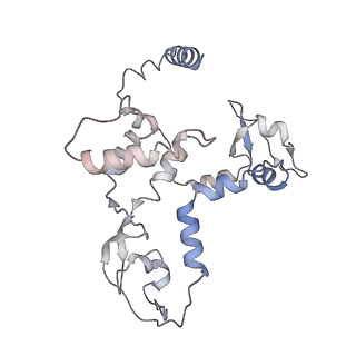 9579_6kup_C_v1-2
Structure of influenza D virus polymerase bound to vRNA promoter in Mode A conformation(Class A2)