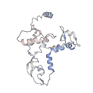 9579_6kup_C_v1-3
Structure of influenza D virus polymerase bound to vRNA promoter in Mode A conformation(Class A2)