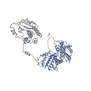 9580_6kut_A_v1-3
Structure of influenza D virus polymerase bound to vRNA promoter in Mode B conformation (Class B2)