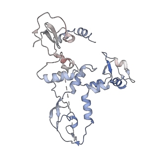 9580_6kut_C_v1-2
Structure of influenza D virus polymerase bound to vRNA promoter in Mode B conformation (Class B2)