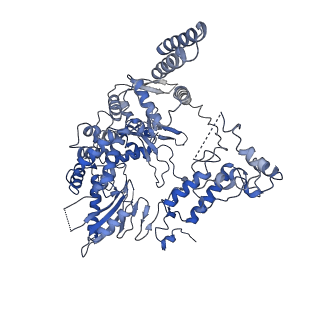 9581_6kur_B_v1-2
Structure of influenza D virus polymerase bound to vRNA promoter in Mode B conformation (Class B1)