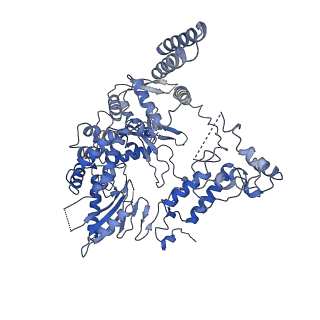 9581_6kur_B_v1-3
Structure of influenza D virus polymerase bound to vRNA promoter in Mode B conformation (Class B1)