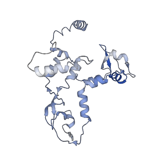 9581_6kur_C_v1-2
Structure of influenza D virus polymerase bound to vRNA promoter in Mode B conformation (Class B1)
