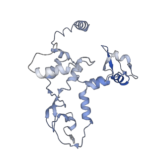 9581_6kur_C_v1-3
Structure of influenza D virus polymerase bound to vRNA promoter in Mode B conformation (Class B1)