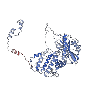 9582_6kuu_A_v1-0
Structure of influenza D virus polymerase bound to vRNA promoter in Mode B conformation (Class B3)