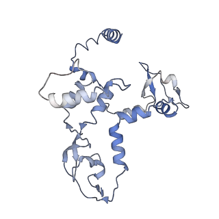 9582_6kuu_C_v1-1
Structure of influenza D virus polymerase bound to vRNA promoter in Mode B conformation (Class B3)